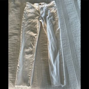 Joe’s The Honey Crop